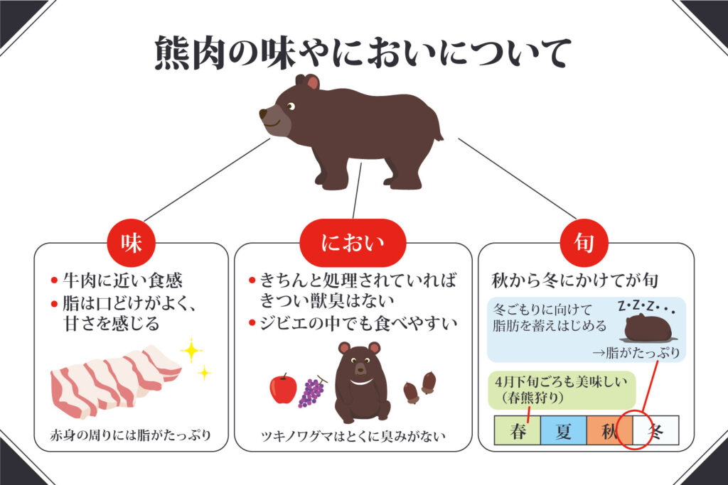 ジビエとしての熊肉の魅力・味・においを詳しく紹介