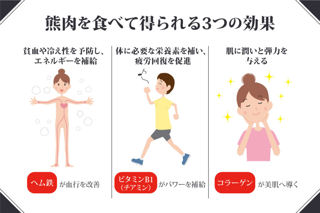 熊肉を食べて得られる効果は？美肌・貧血の改善などの効果を紹介