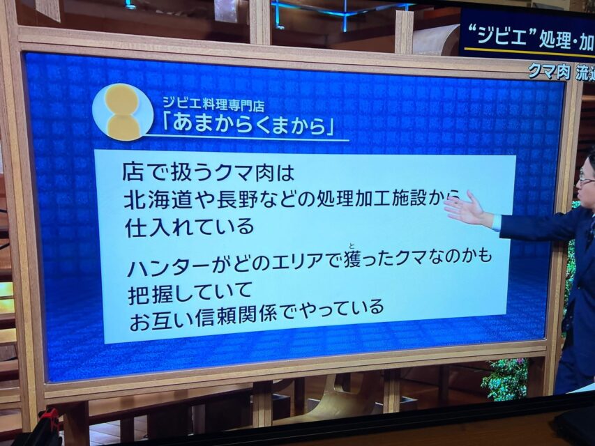 【メディア掲載情報】2025/11/11 報道ステーションに熊のコメントが紹介されました