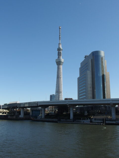 【浅草グルメ】東京スカイツリー観光のあとは、非日常のジビエ料理を｜雷門・浅草さんぽガイド付き